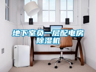 企業(yè)新聞地下室負一層配電房除濕機