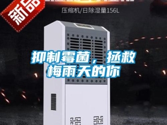 知識百科抑制霉菌，拯救梅雨天的你