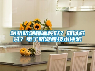 常見問題相機(jī)防潮箱哪種好？如何選購？電子防潮箱技術(shù)評測