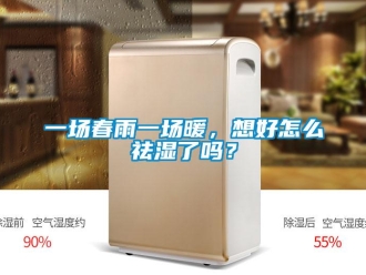 常見問題一場春雨一場暖，想好怎么祛濕了嗎？