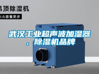 常見問題武漢工業超聲波加濕器，除濕機品牌