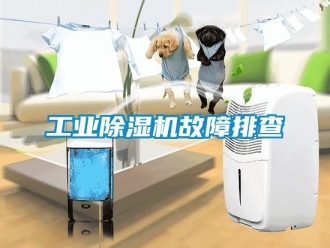 企業(yè)新聞工業(yè)除濕機(jī)故障排查