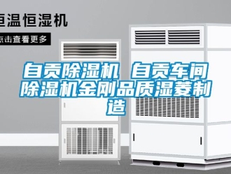 企業(yè)新聞自貢除濕機(jī) 自貢車間除濕機(jī)金剛品質(zhì)濕菱制造