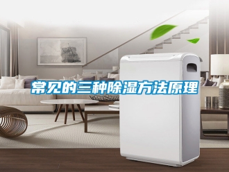 企業(yè)新聞常見的三種除濕方法原理