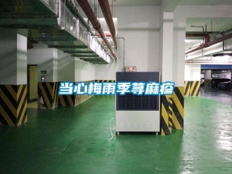 企業(yè)新聞當心梅雨季蕁麻疹