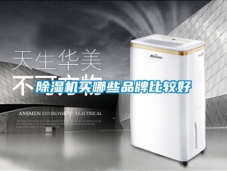 企業(yè)新聞除濕機(jī)買(mǎi)哪些品牌比較好