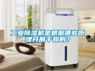 企業(yè)新聞工業(yè)除濕機(jī)是根據(jù)哪些原理開展干躁的？
