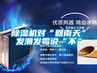 企業新聞除濕機對“回南天”發潮發霉說“不”