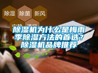 企業(yè)新聞除濕機(jī)為什么是梅雨季除濕方法的首選？除濕機(jī)品牌推薦