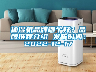 企業(yè)新聞抽濕機(jī)品牌哪個(gè)好？品牌推薦介紹 發(fā)布時(shí)間：2022-12-17
