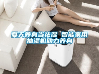 知識百科夏天養(yǎng)身當祛濕 智能家用抽濕機助力養(yǎng)身