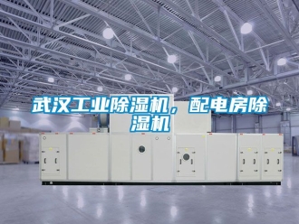 常見問題武漢工業除濕機，配電房除濕機