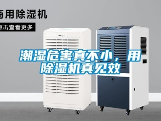 企業新聞潮濕危害真不小，用除濕機真見效