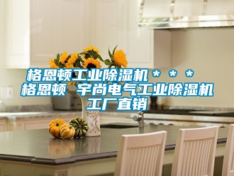常見問題格恩頓工業(yè)除濕機＊＊＊ 格恩頓 宇尚電氣工業(yè)除濕機工廠直銷