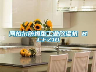 企業新聞阿拉爾防爆型工業除濕機 BCFZ10