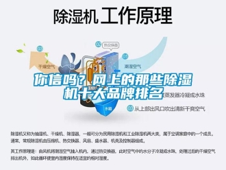 常見問題你信嗎？網上的那些除濕機十大品牌排名