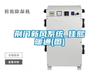 企業(yè)新聞荊門新風(fēng)系統(tǒng)_佳熙暖通(圖)