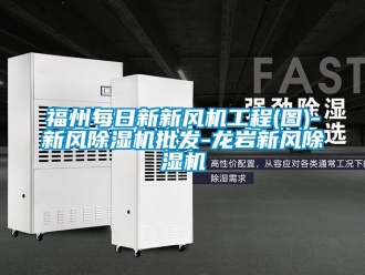 常見問題福州每日新新風機工程(圖)-新風除濕機批發(fā)-龍巖新風除濕機