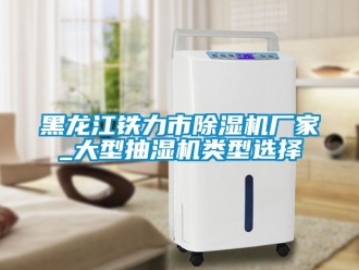 企業新聞黑龍江鐵力市除濕機廠家_大型抽濕機類型選擇