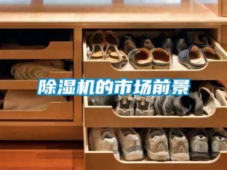 企業新聞除濕機的市場前景