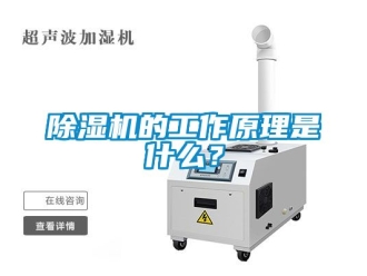 企業新聞除濕機的工作原理是什么？