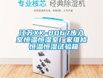 知識(shí)百科江蘇XK-8067步入室恒溫恒濕室廠家維修 恒溫恒濕試驗(yàn)箱