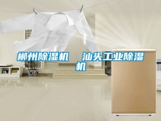 常見問題郴州除濕機(jī)  汕頭工業(yè)除濕機(jī)