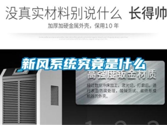 知識百科新風系統究竟是什么