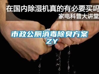 知識(shí)百科市政公廁消毒除臭方案 ZY