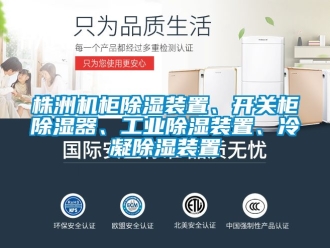 常見問題株洲機柜除濕裝置、開關(guān)柜除濕器、工業(yè)除濕裝置、冷凝除濕裝置