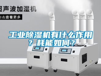 常見問題工業除濕機有什么作用？耗能如何？