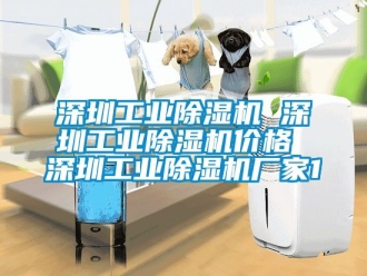 企業新聞深圳工業除濕機 深圳工業除濕機價格 深圳工業除濕機廠家1
