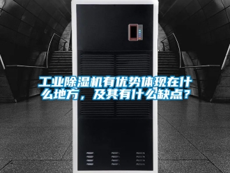 常見問題工業除濕機有優勢體現在什么地方，及其有什么缺點？