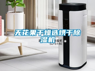 知識百科無花果干燥選烘干除濕機
