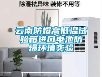 企業新聞云南防爆高低溫試驗箱進口電池防爆環境實驗