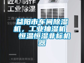 常見問題益陽市車間除濕機，工業(yè)抽濕機  恒溫恒濕非標機器