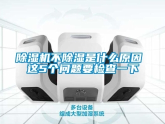 企業(yè)新聞除濕機(jī)不除濕是什么原因 這5個(gè)問題要檢查一下