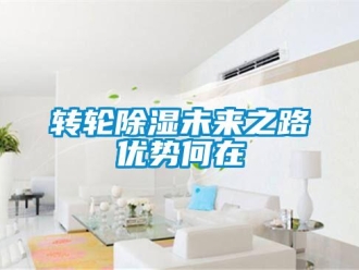 知識(shí)百科轉(zhuǎn)輪除濕未來之路優(yōu)勢(shì)何在