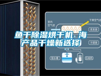 知識百科魚干除濕烘干機 海產品干燥新選擇