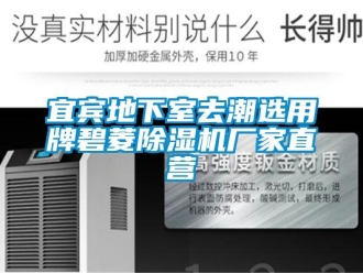 企業(yè)新聞宜賓地下室去潮選用牌碧菱除濕機廠家直營