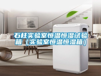 知識百科石柱實驗室恒溫恒濕試驗箱（實驗室恒溫恒濕箱）