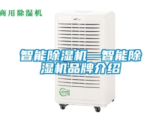 企業(yè)新聞智能除濕機—智能除濕機品牌介紹