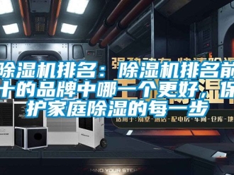 企業新聞除濕機排名：除濕機排名前十的品牌中哪一個更好，保護家庭除濕的每一步