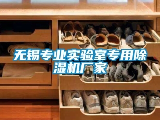 企業(yè)新聞無錫專業(yè)實驗室專用除濕機廠家