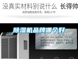 企業(yè)新聞除濕機(jī)品牌哪個(gè)好