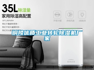企業(yè)新聞銅陵優(yōu)質工業(yè)轉輪除濕機廠家