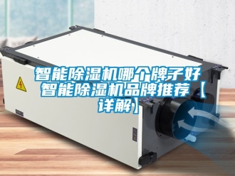 企業(yè)新聞智能除濕機哪個牌子好 智能除濕機品牌推薦【詳解】