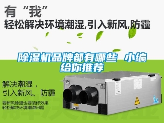 企業新聞除濕機品牌都有哪些 小編給你推薦