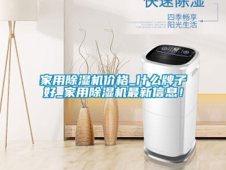 企業(yè)新聞家用除濕機價格_什么牌子好_家用除濕機最新信息！