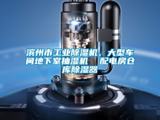 常見問題濱州市工業(yè)除濕機(jī)，大型車間地下室抽濕機(jī)  配電房倉庫除濕器
